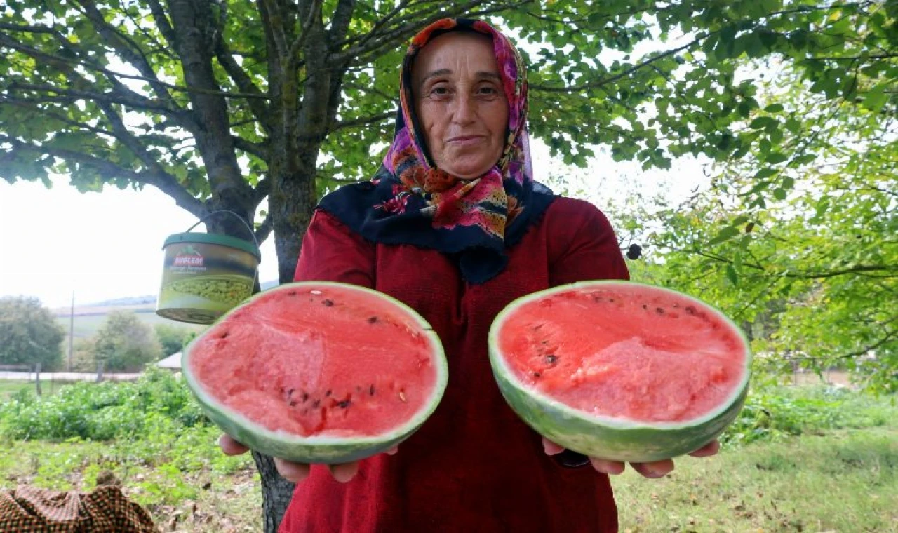 Kocaeli’de üreticilere karpuz tohumu desteği