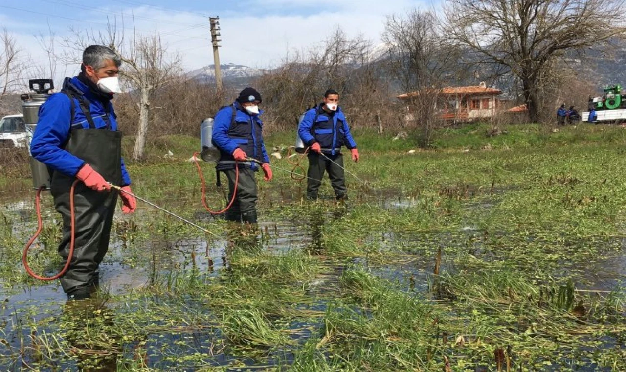 Muğla’da vektörle mücadeleye devam