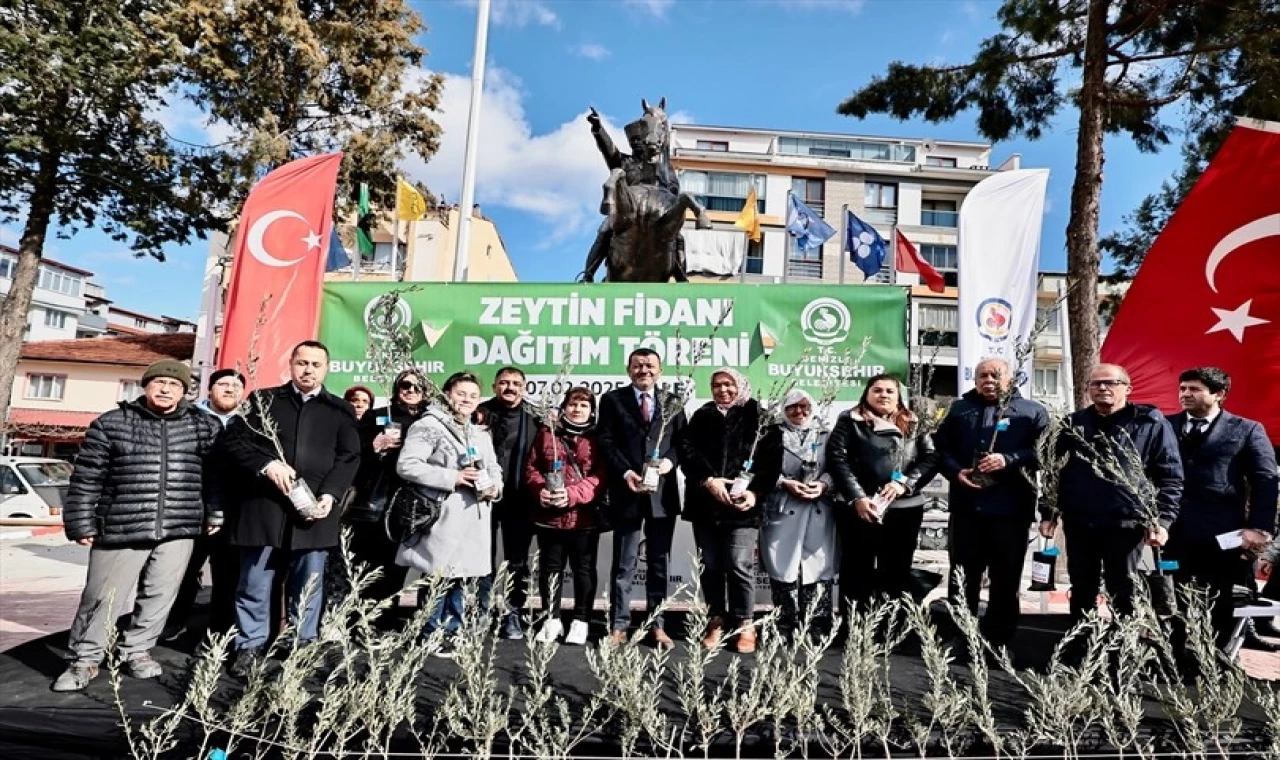 Denizli’de zeytin fidanları toprakla buluşuyor