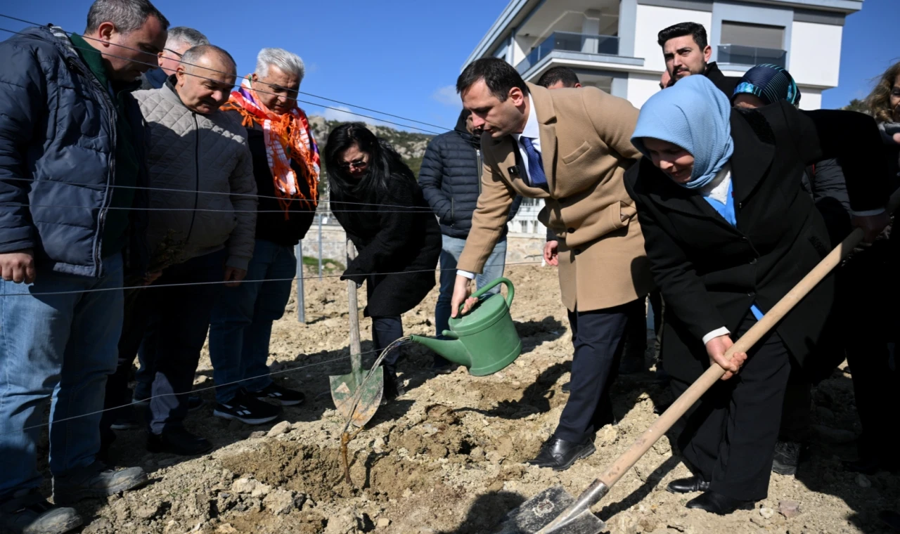 İzmir’de coğrafi tescilli üzüm için büyük adım: İlk fidanlar toprakla buluştu!