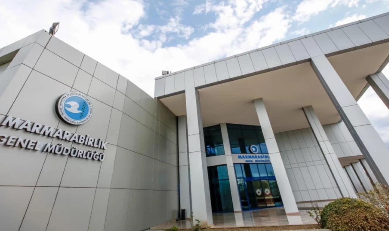 Marmarabirlik’ten zeytinciye 800 milyon TL daha... Fark ödemelerinin tarihi de belli oldu