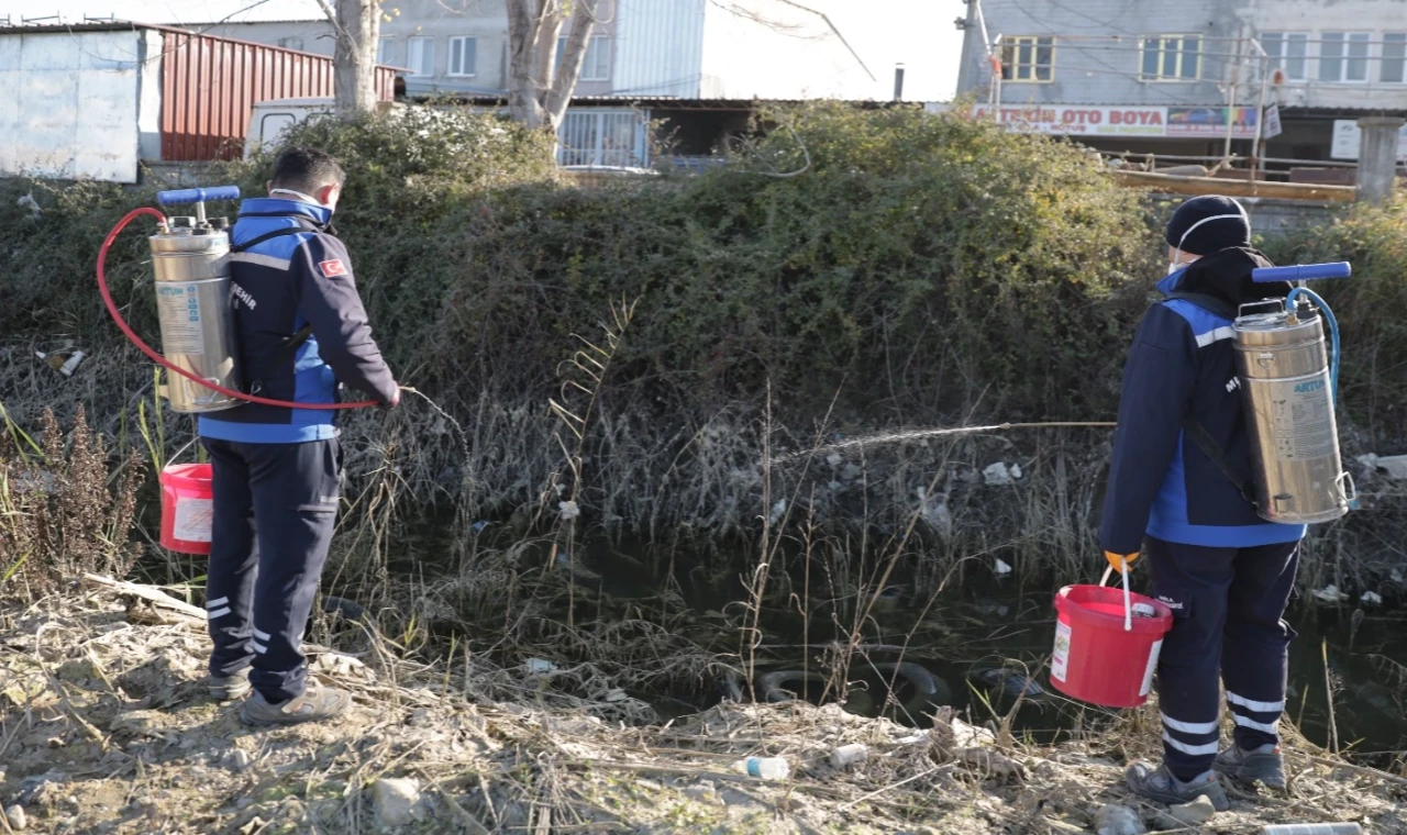 Muğla’da sivrisinek ile mücadele yıl boyunca devam ediyor