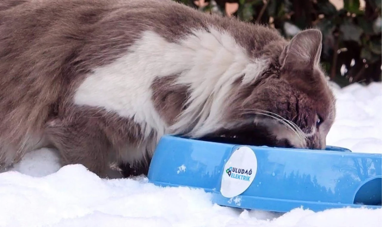 Uludağ Elektrik, ’Sevgimiz, Enerjimiz Sizinle’ diyerek can dostlarını unutmuyor