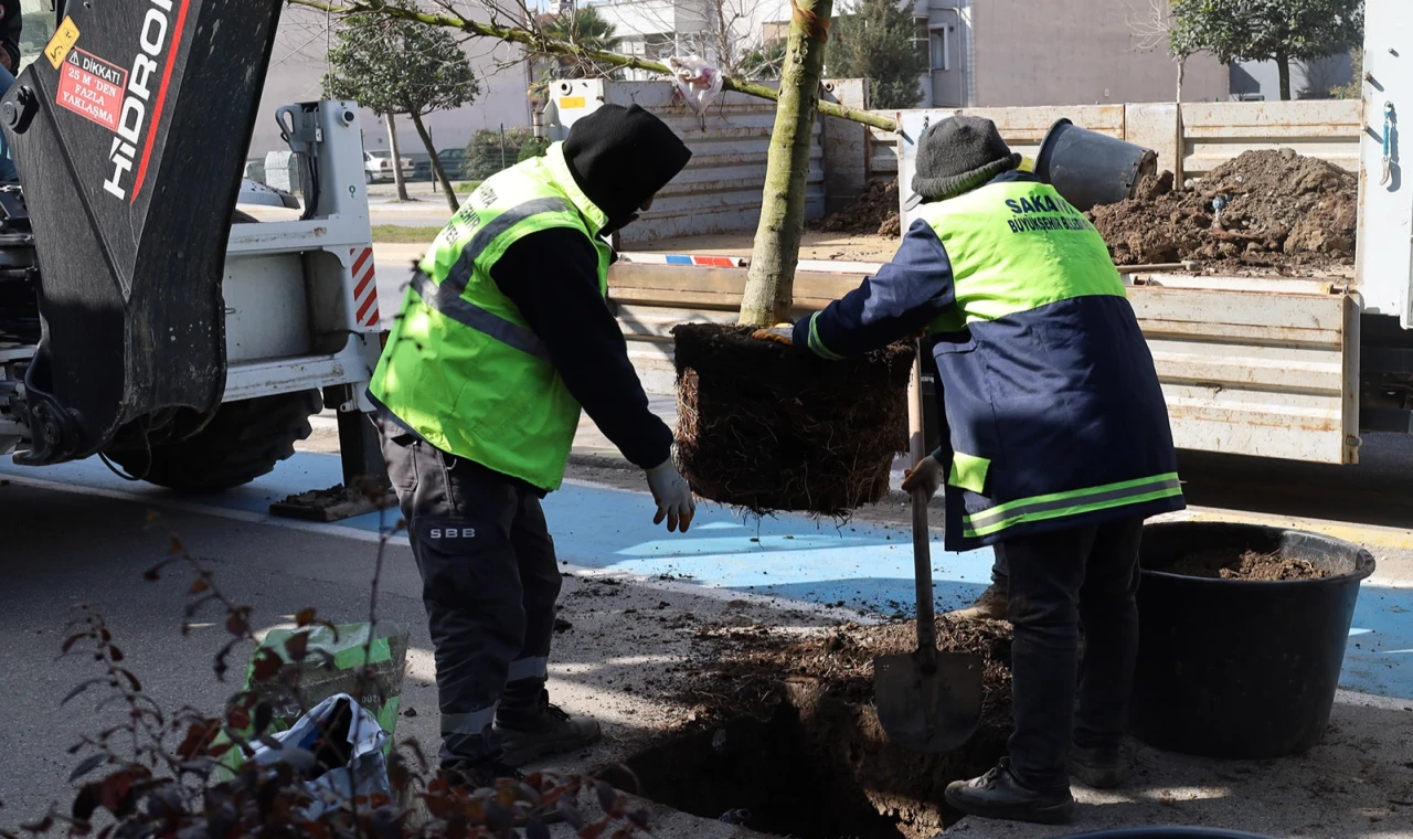 Sakarya’da yeşil’ dokunuşla şehrin çehresini değiştiriyor