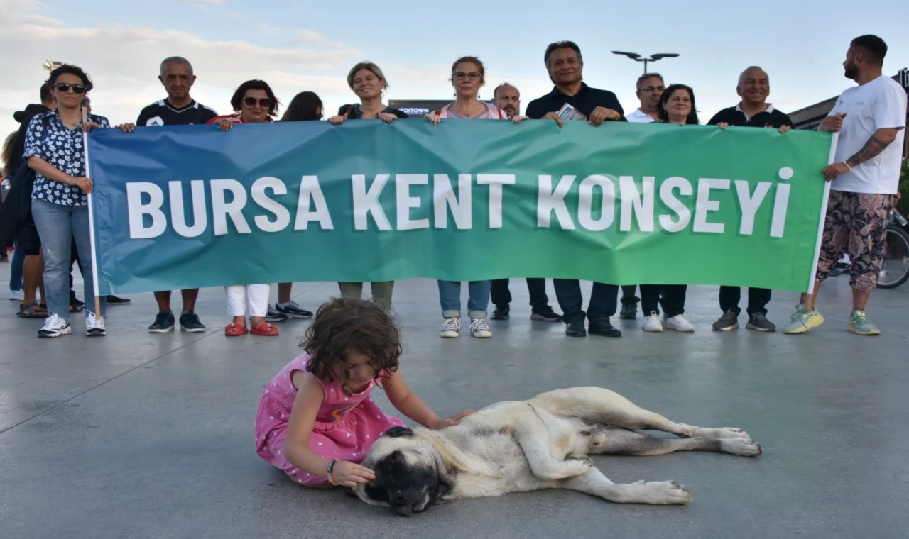 Bursa Kent Konseyi’nden Gemlik’teki yavru kedi vahşetine kınama!