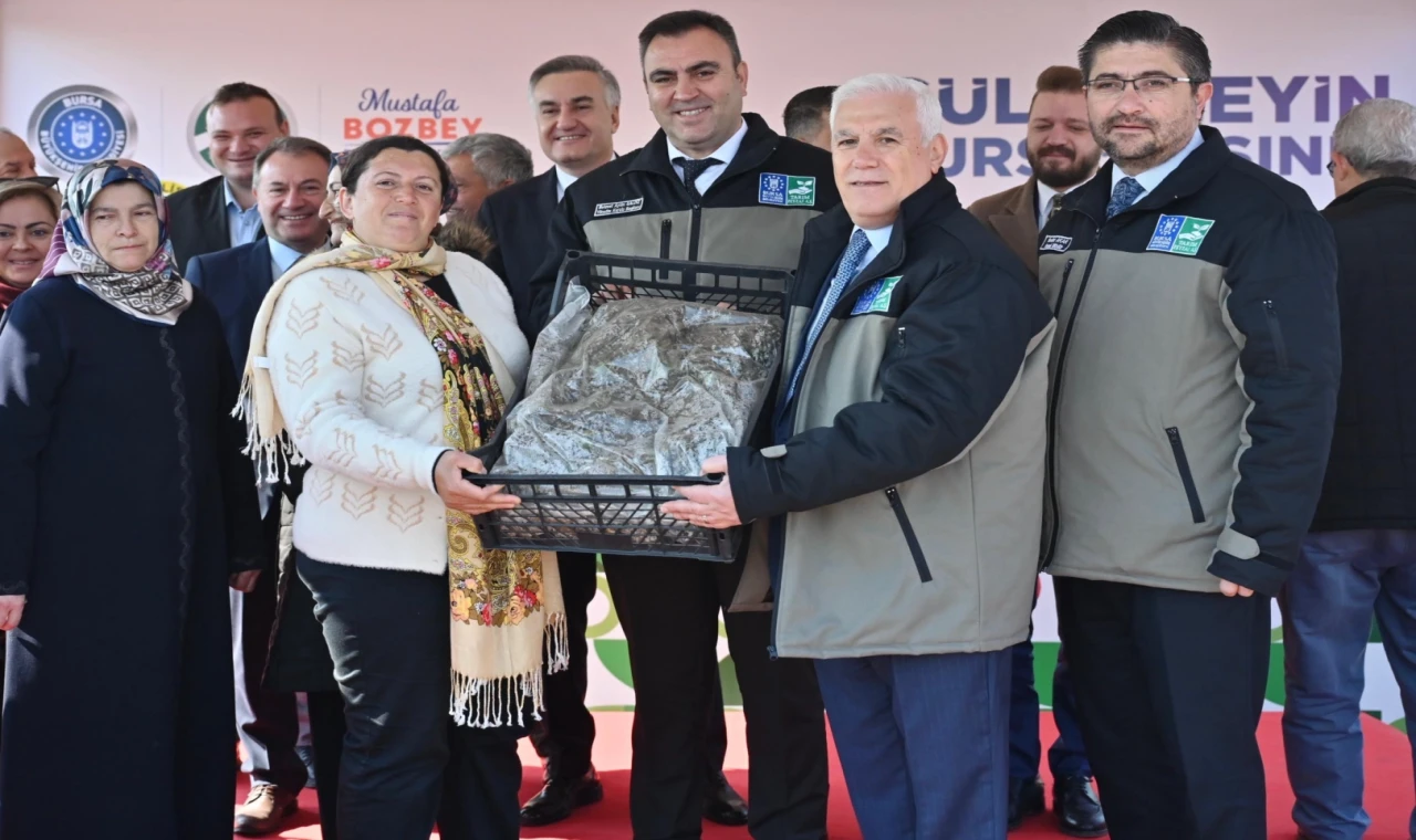 Bursa’dan çiftçiye 1,2 milyon adet çilek fidesi