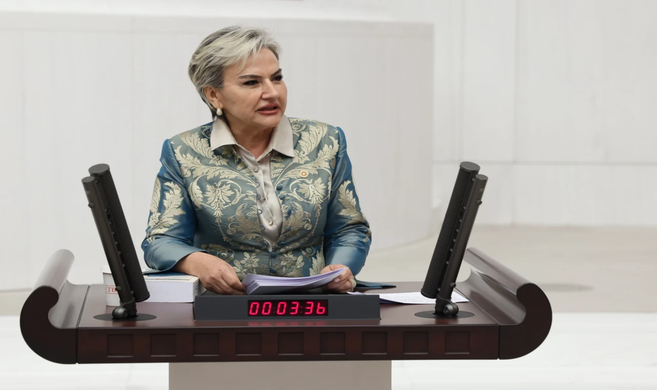 CHP’li Özdemir’den Bakan Memişoğlu’na ’medikal estetik’ soruları