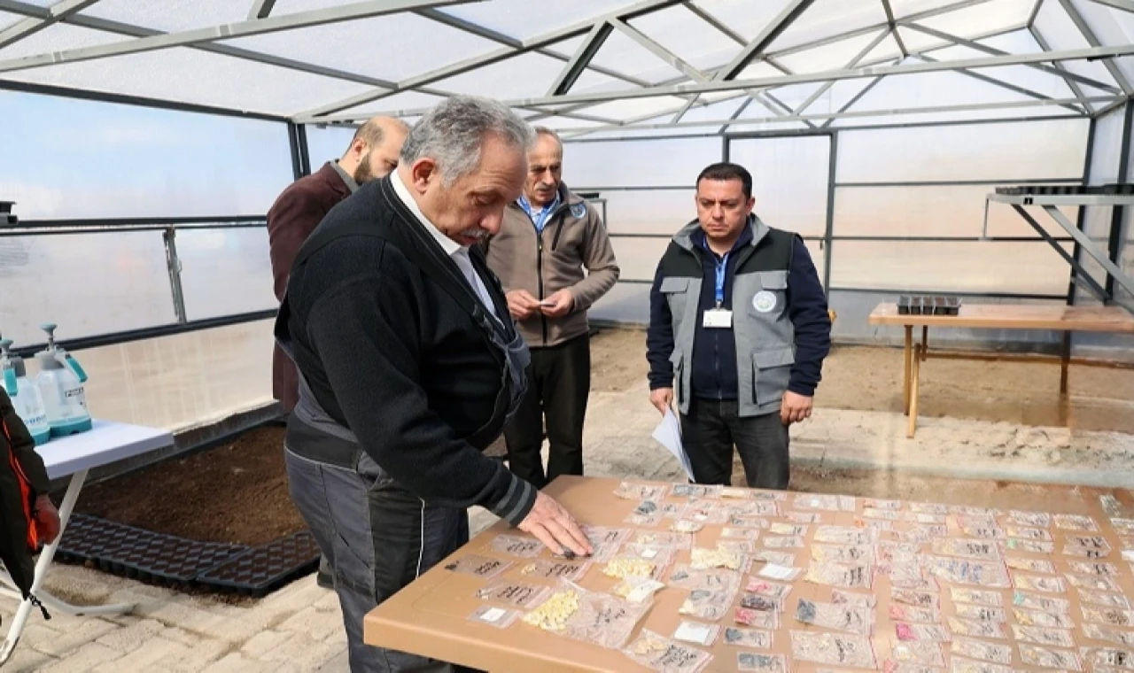 Kayseri Talas’ta tulum eşliğinde tohum şenliği