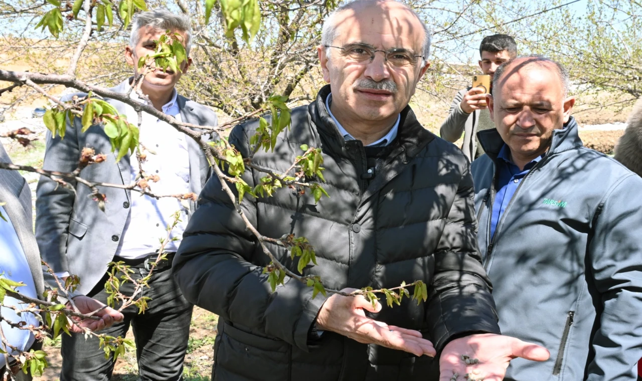 Malatya’da kar ve don mağduriyeti incelemesi