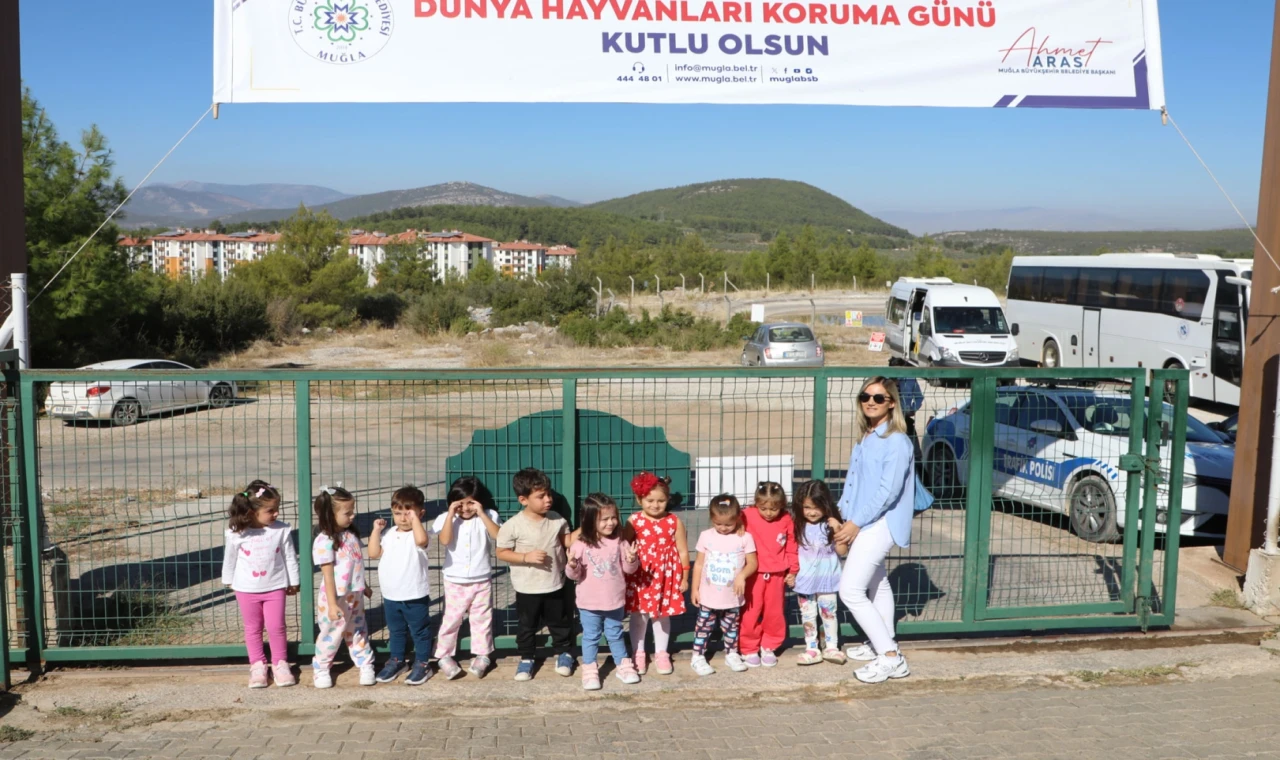 Muğla Büyükşehir’den can dostlara dört dörtlük hizmet