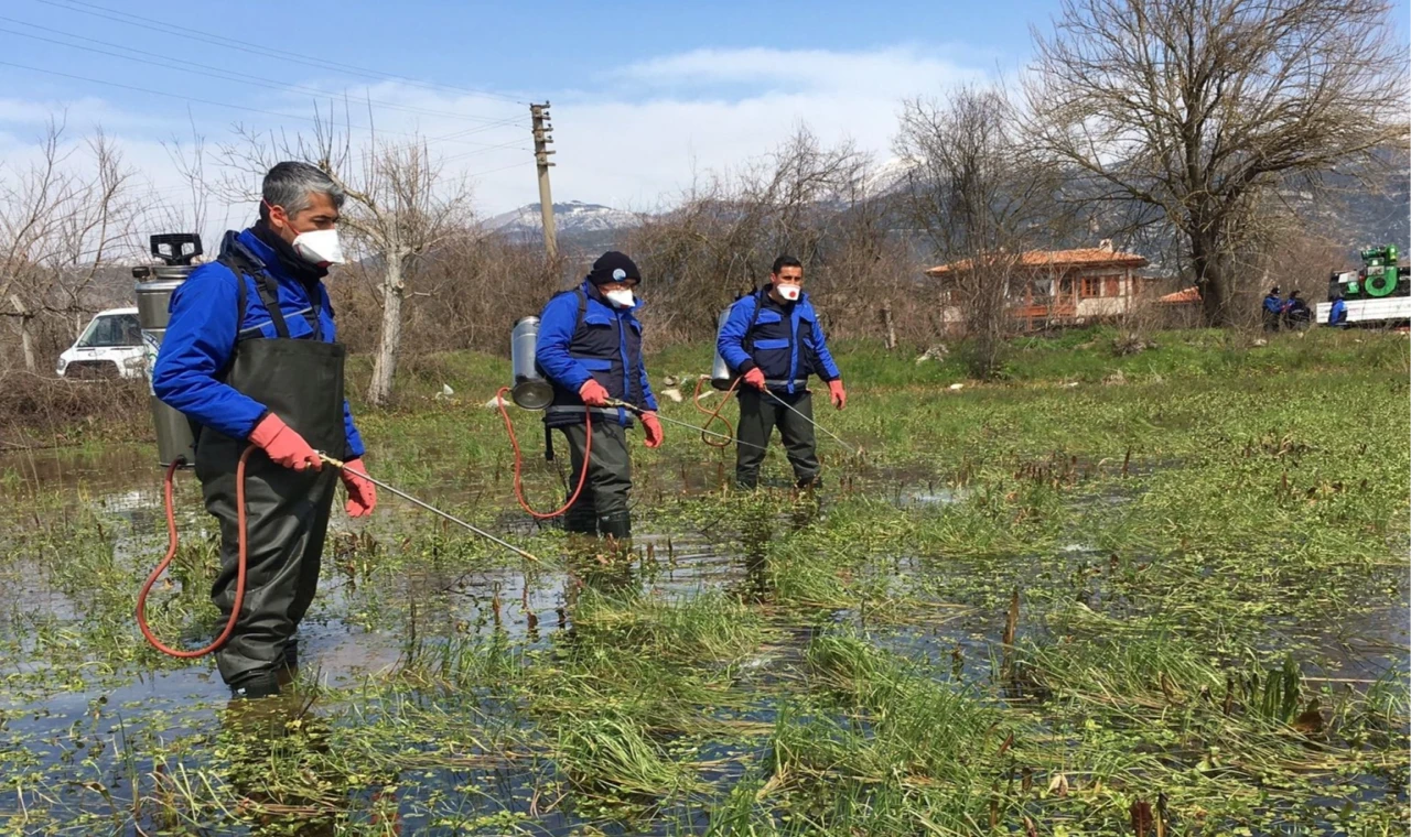 Muğla Büyükşehir’den sağlıklı kent adımları