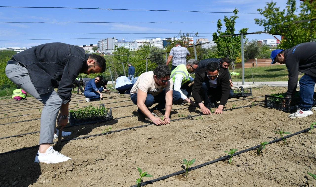 İstanbul Beylikdüzü’nde yaşam bahçesi yaza hazır