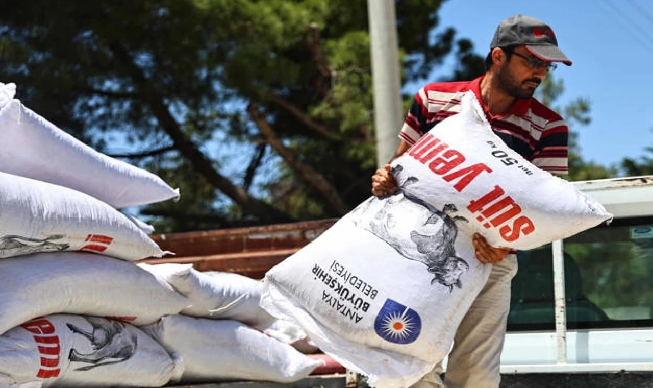 Antalya’da yem desteğiyle süt üretimine güçlü katkı