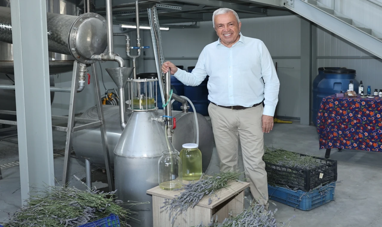 Bursa Nilüfer’de lavanta hasadı başladı