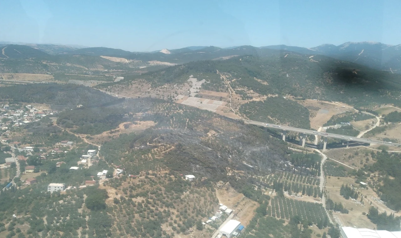 Bursa Osmangazi’de orman yangını hızlı müdahalelerle kontrol altına alındı