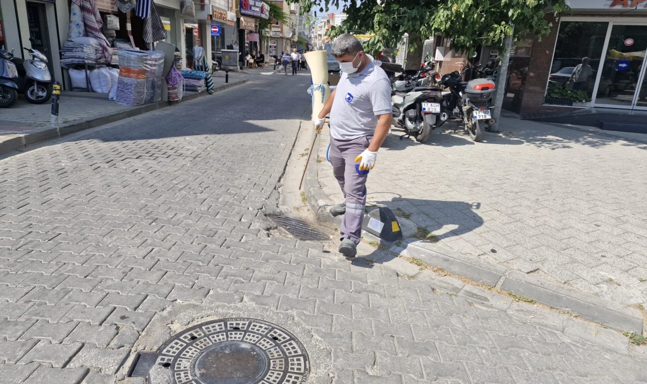 Çanakkale’de sinek alarmı