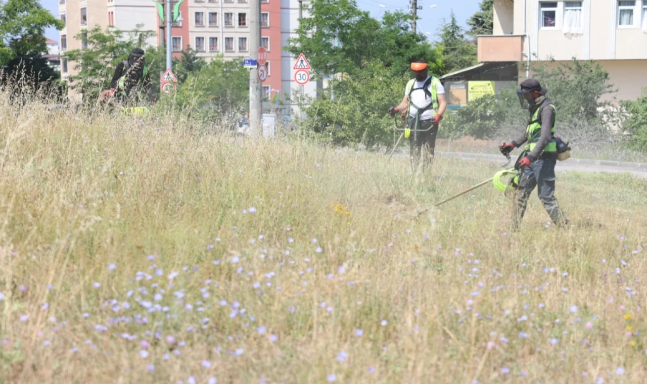 Kocaeli Çayırova’da boş arazilerdeki otlar biçiliyor