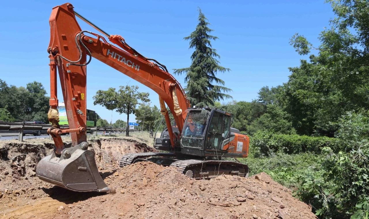Kocaeli’de sökülen ağaçlar geleceğe taşınıyor