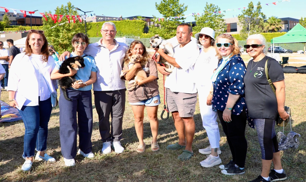 Mudanya Belediyesi 47 can dostu sahiplendirdi