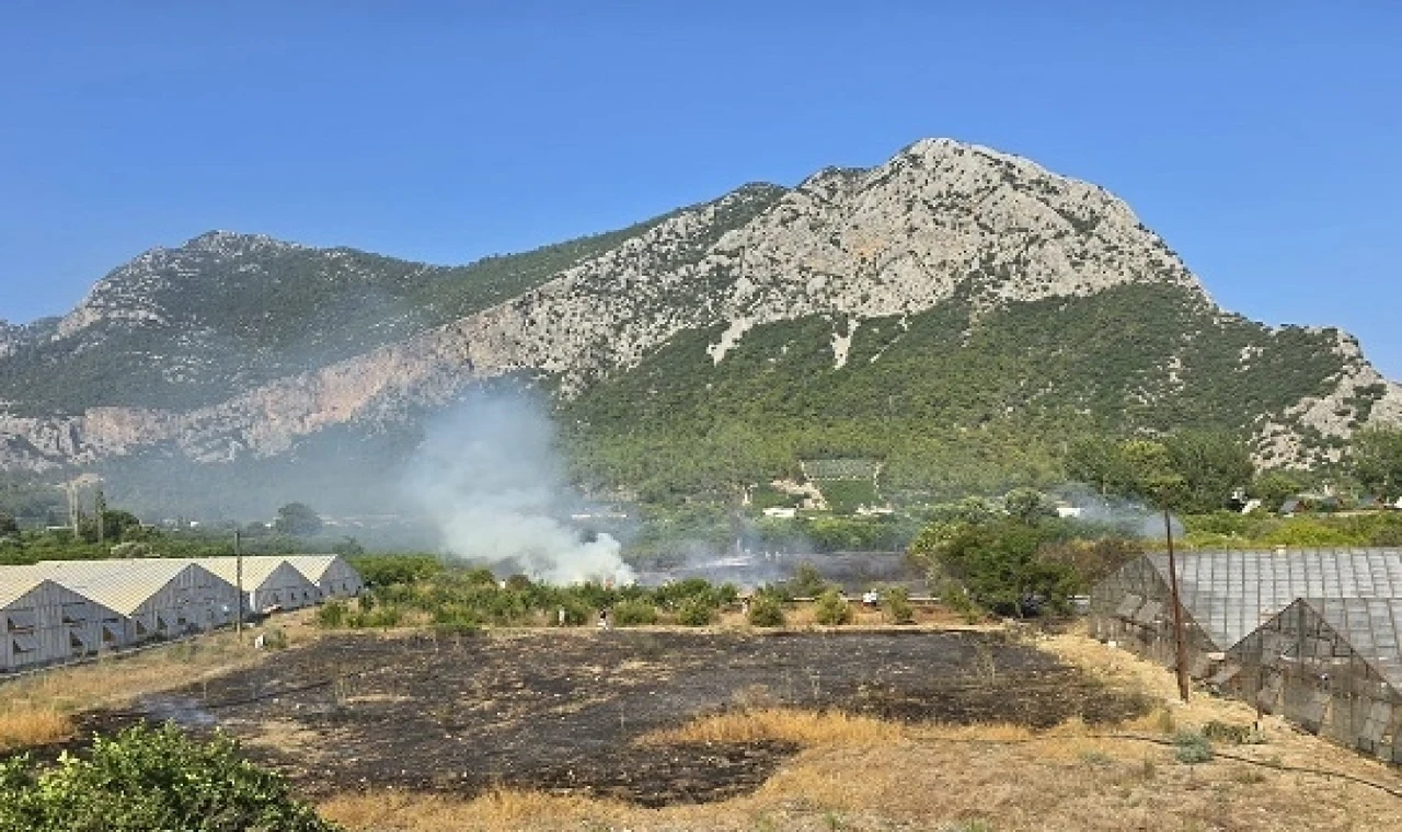 Antalya Kumluca’da çıkan yangına anında müdahale