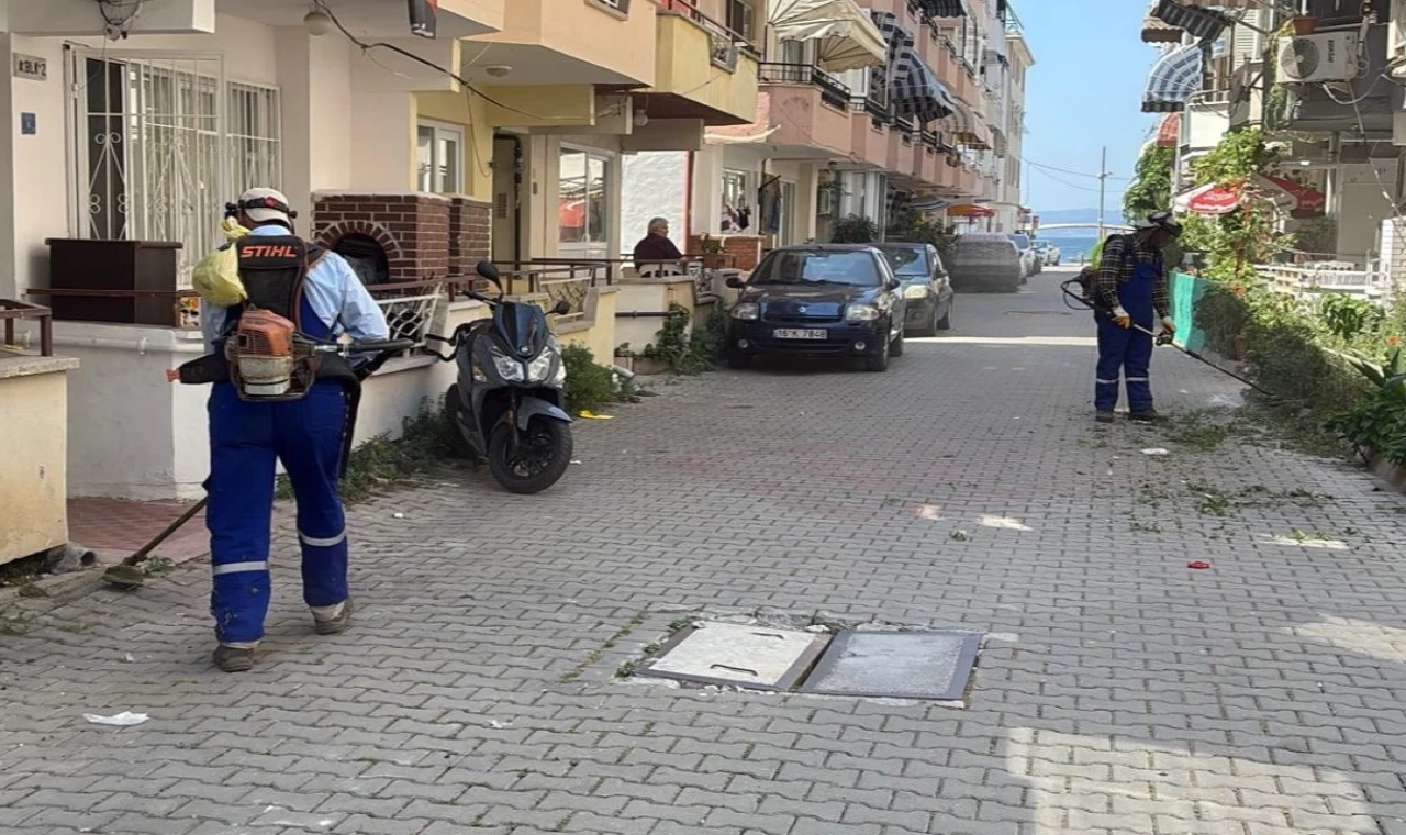 Bursa’da Gemlik Belediyesi’nden Kumla’ya yaz temizliği desteği