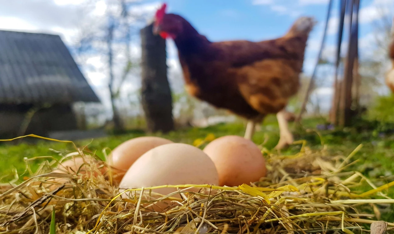 Destekleme ve Fiyat İstikrar Fonu’nda değişiklik... O fon kesintisi kaldırıldı!