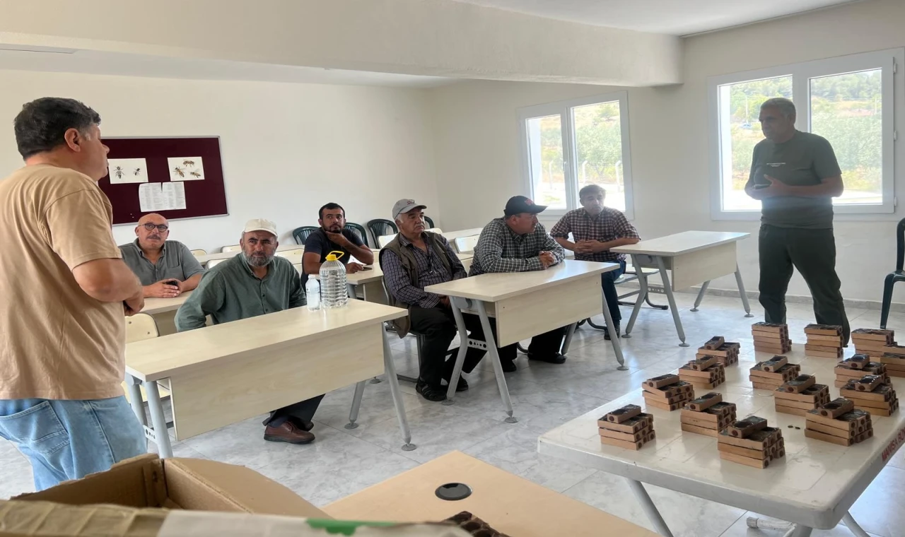 Manisa Büyükşehir’den üreticilere ana arı desteği
