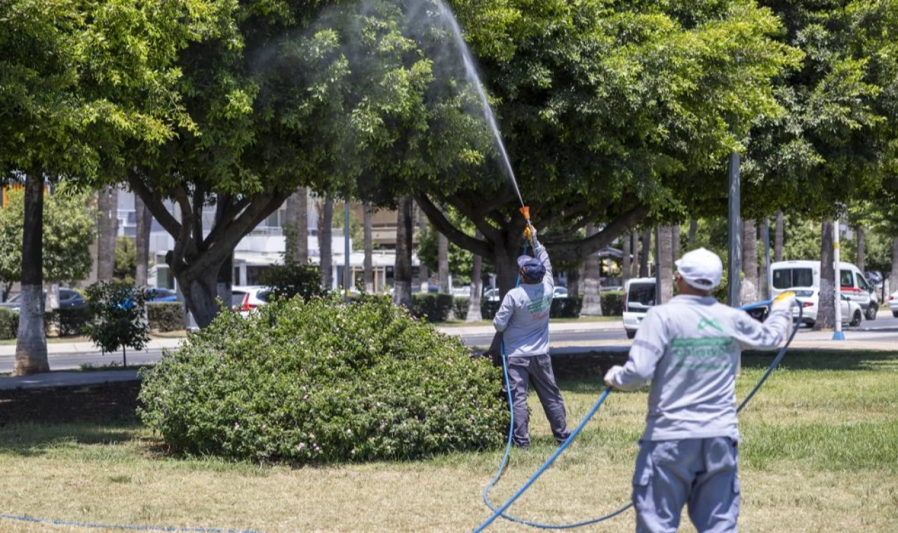 Mersin’de ilaçlama çalışmaları sürüyor