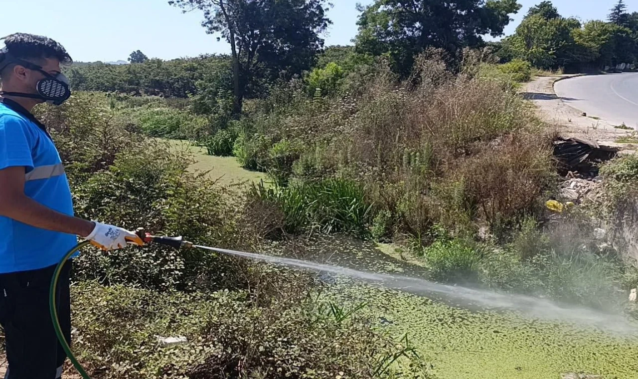 Sakarya’da dere yatakları, kanallar, bataklıklar ve göletlere tek tek ulaşıyorlar