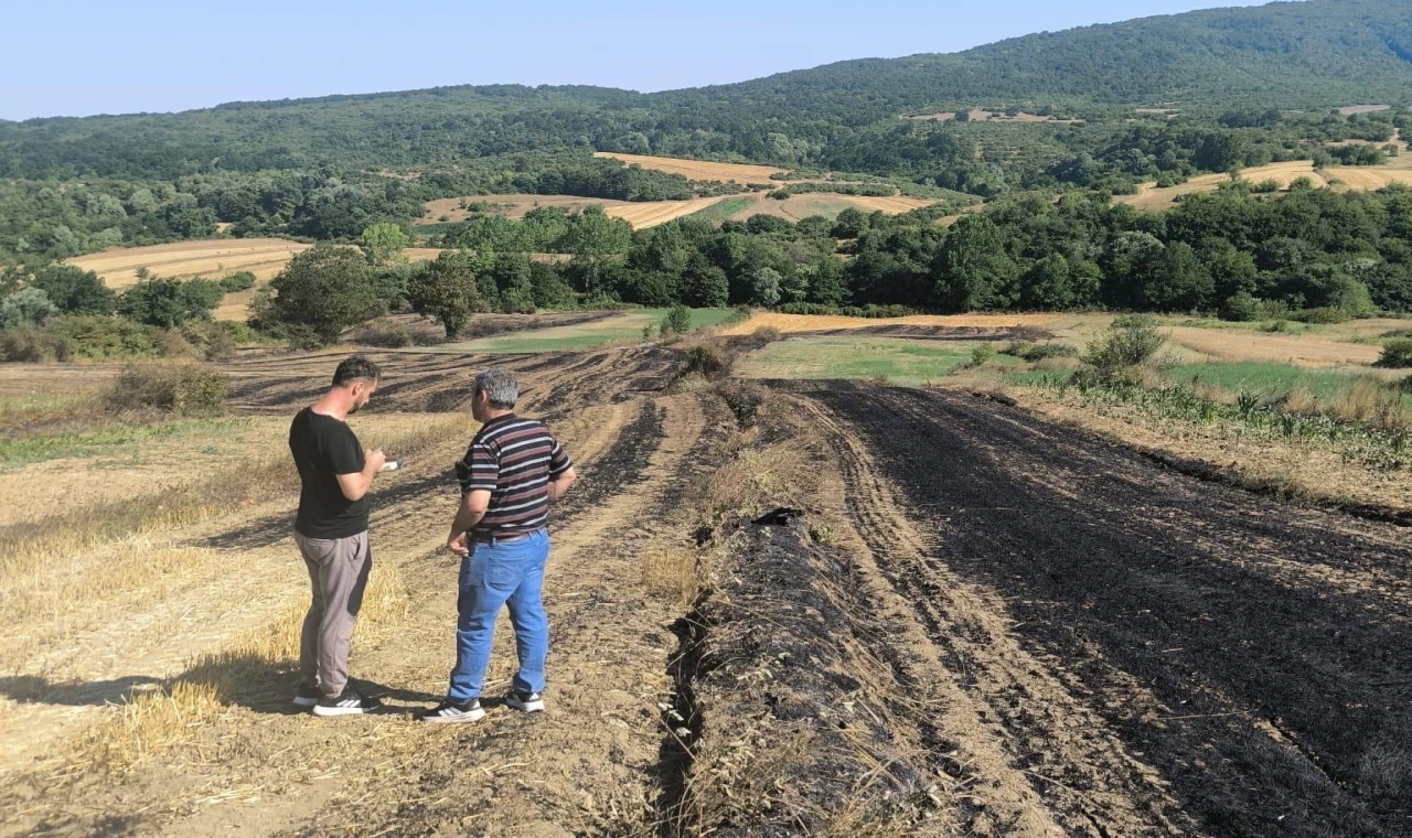 Yangında zarar gören çiftçilere Kocaeli’de tohum desteği