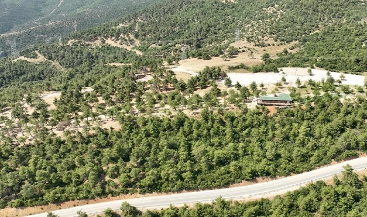 Bursa Gürsu’nun mesire alanı küllerden temizlendi