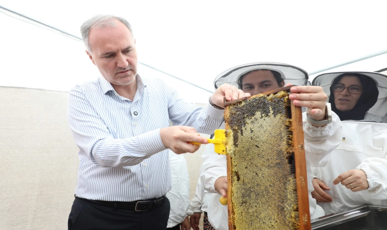 Bursa İnegöl bal üretiminde kalitesiyle dikkat çekti