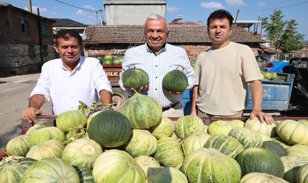 Bursa Nilüfer’de Konaklı kavununun üretimi iki kat arttı