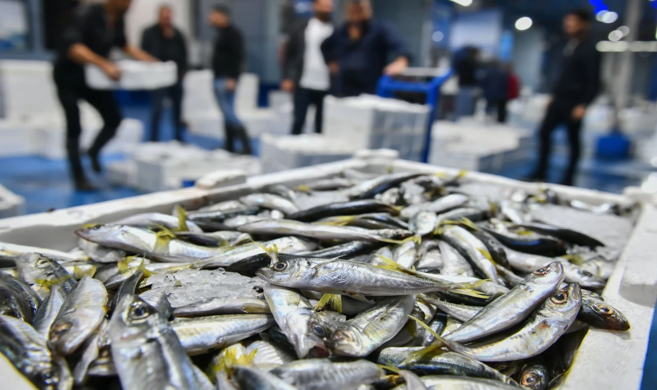 Ankara’da balık sezonu başladı, denetimler sıklaştı