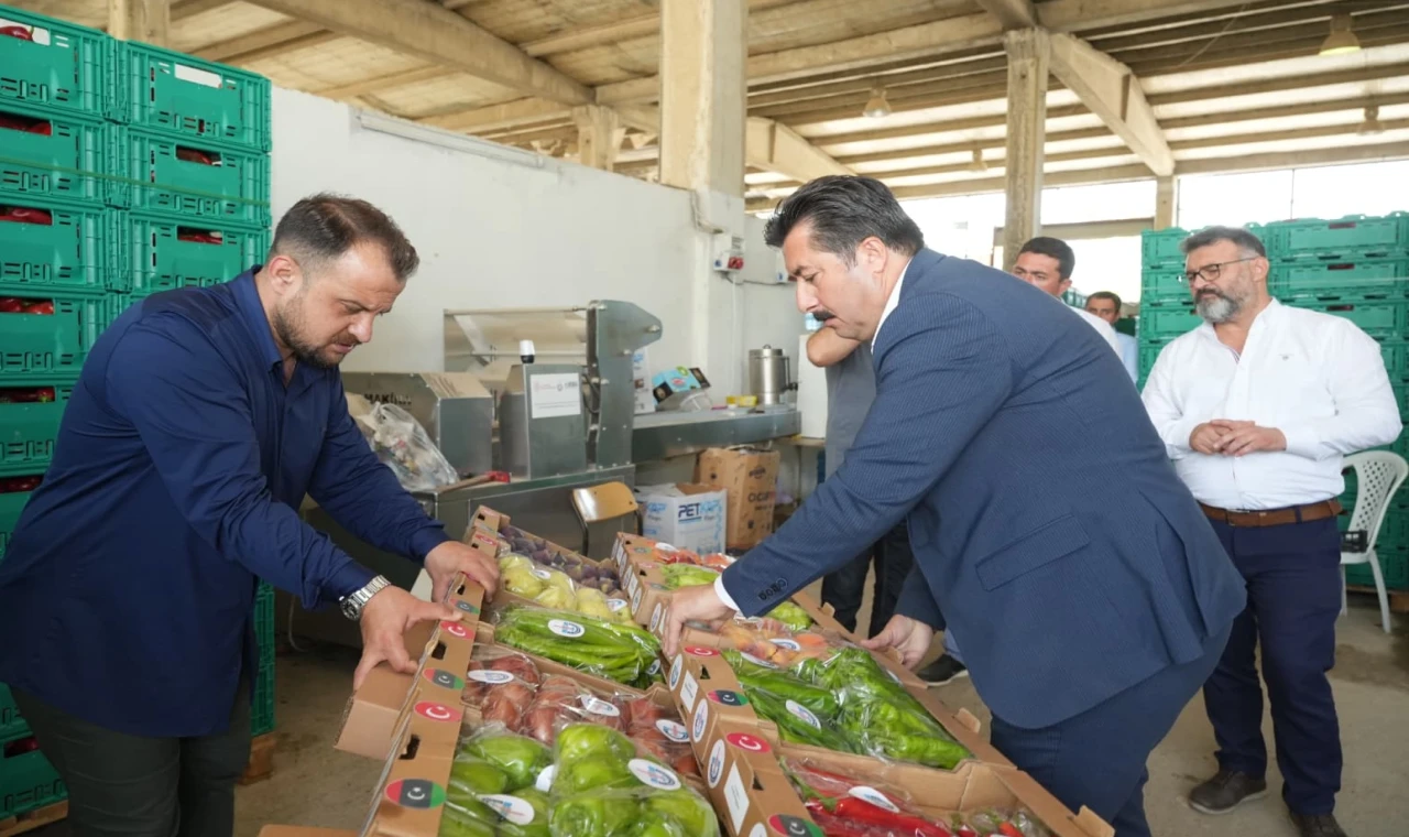 Bursa Yenişehir’in tarım ürünleri Libya yolunda... İlk numuneler gönderildi