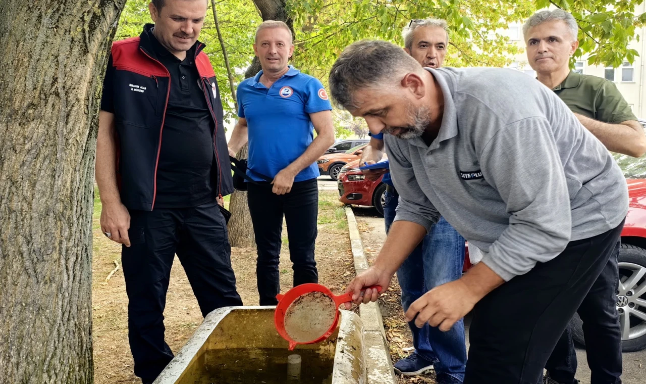 Bursa’nın su kaynaklarına 2,2 milyon sazan balığı bırakılacak