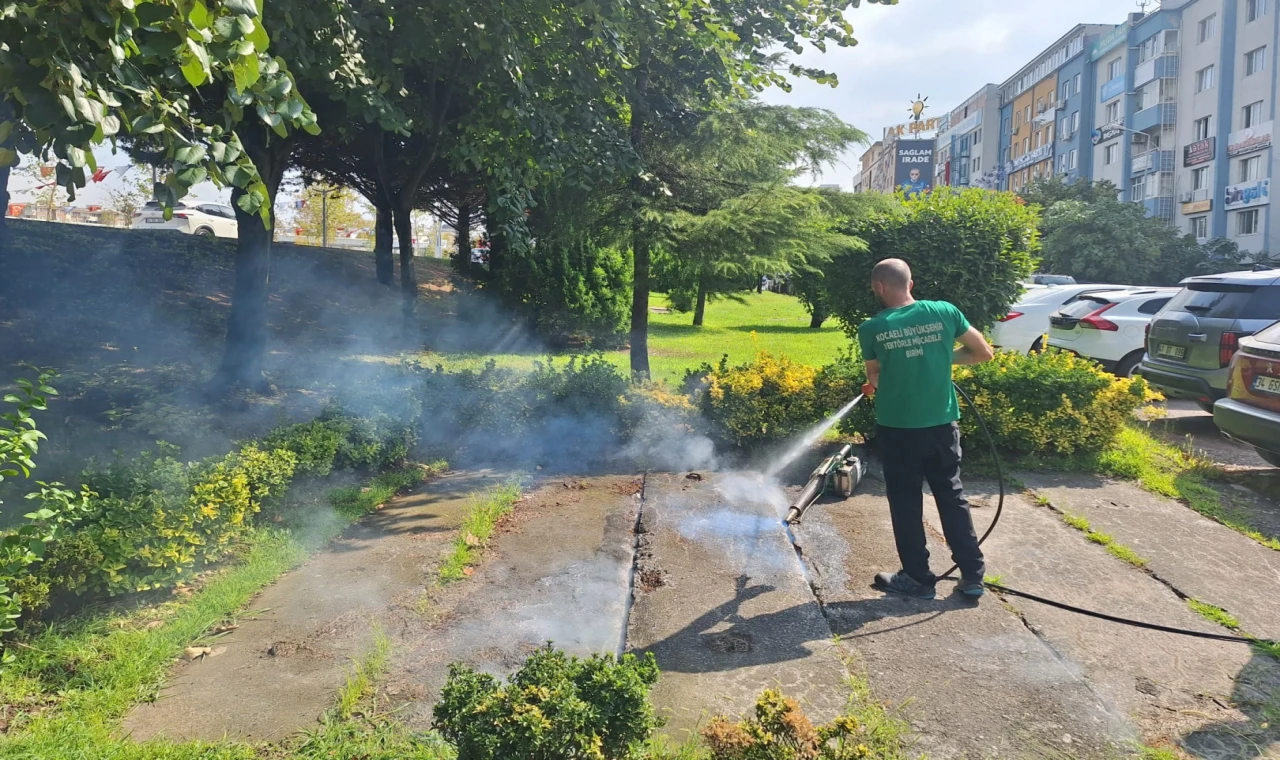 Kocaeli’de vektörle mücadeleye güçlü destek