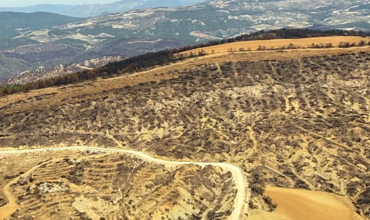 Bilecik’te yangın bölgelerine havadan inceleme
