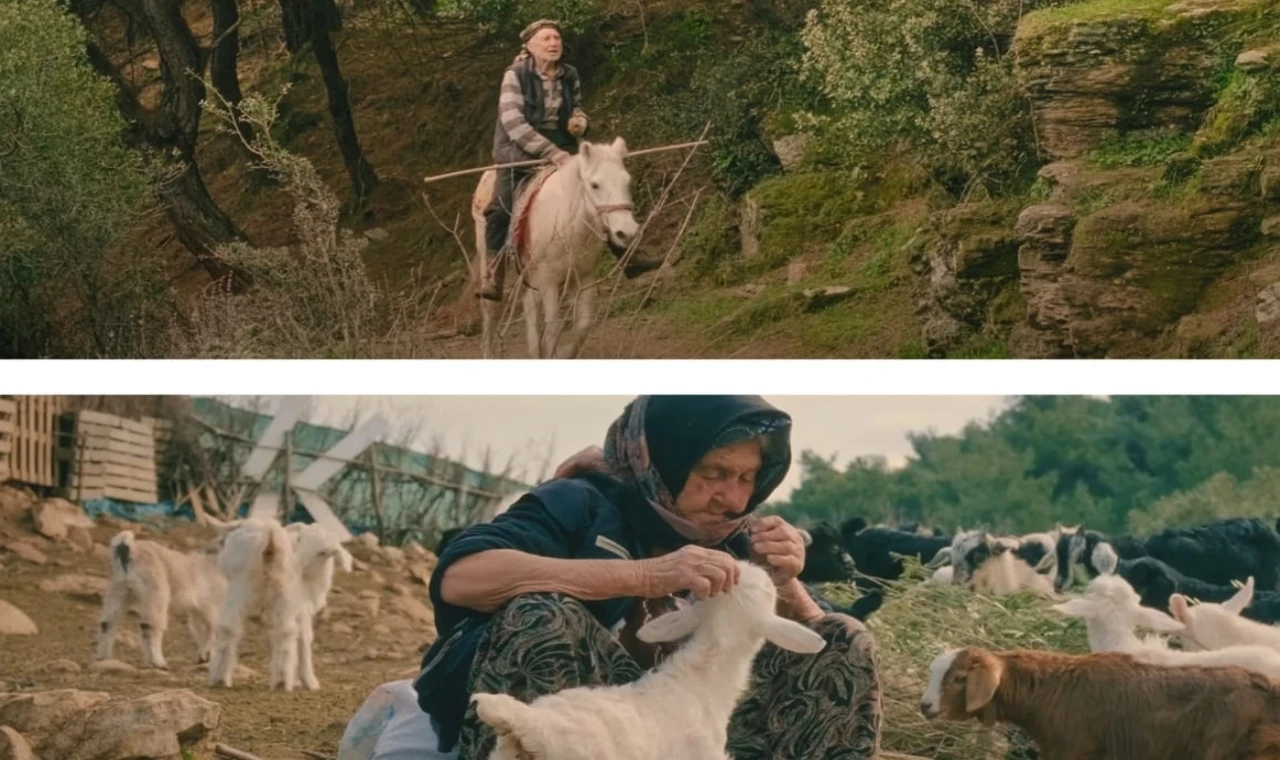 Boğaziçi Film Festivali’nde 31 yapım seyirciyle buluşacak
