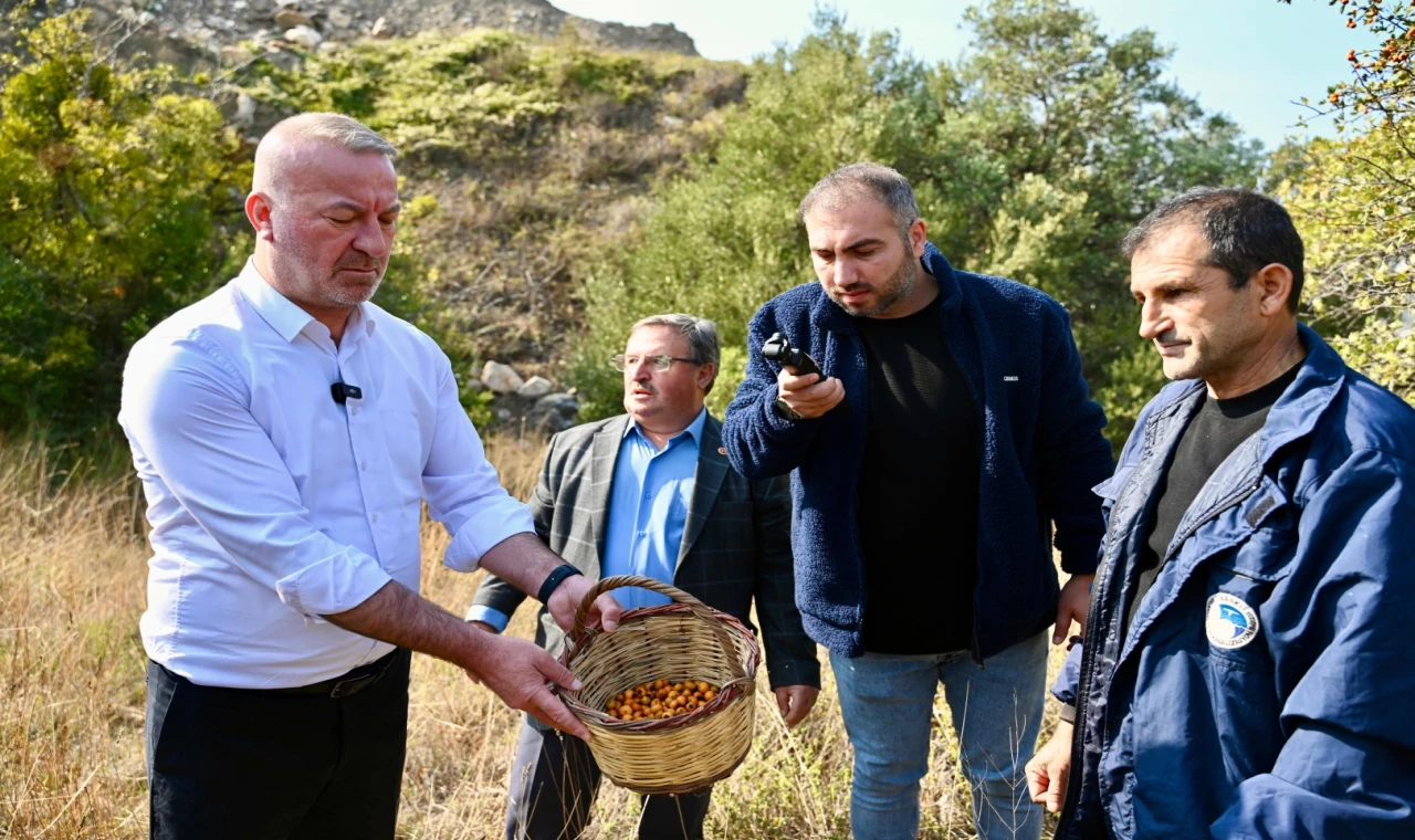 Bursa Karacabey ’Alıç Meyvesi’ni dünya pazarında tanıtacak!