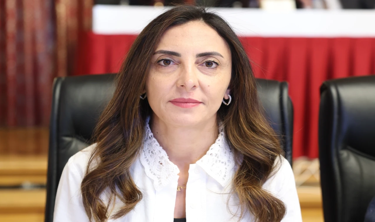 CHP’li Milletvekili Altaca Kayışoğlu’ndan ’insan hakları’ vurgusu