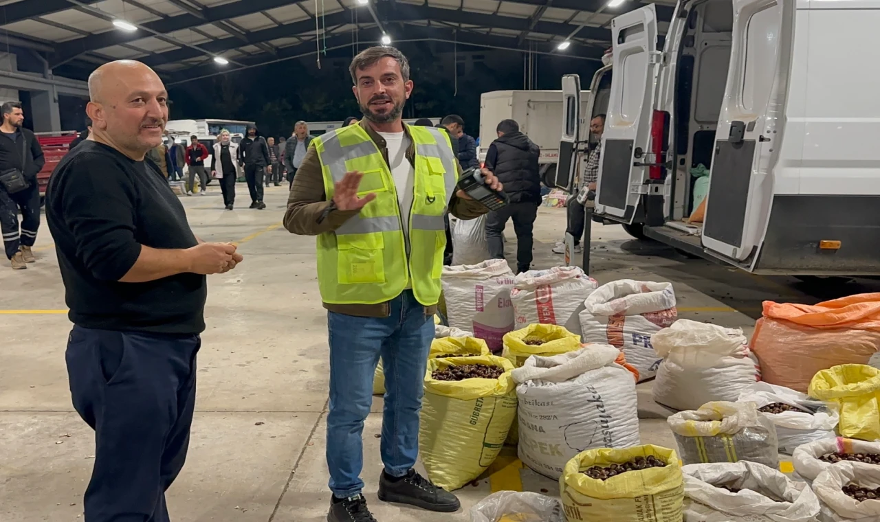 Düzce’nin tescilli lezzeti kuzu kestanesi pazara indi!