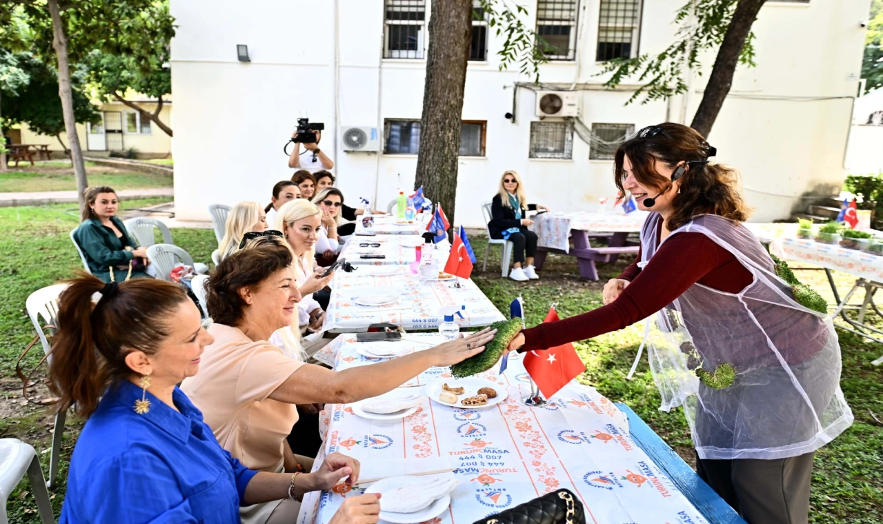 Antalya Muratpaşa’da mikro yeşilliklerle minyatür bahçeler