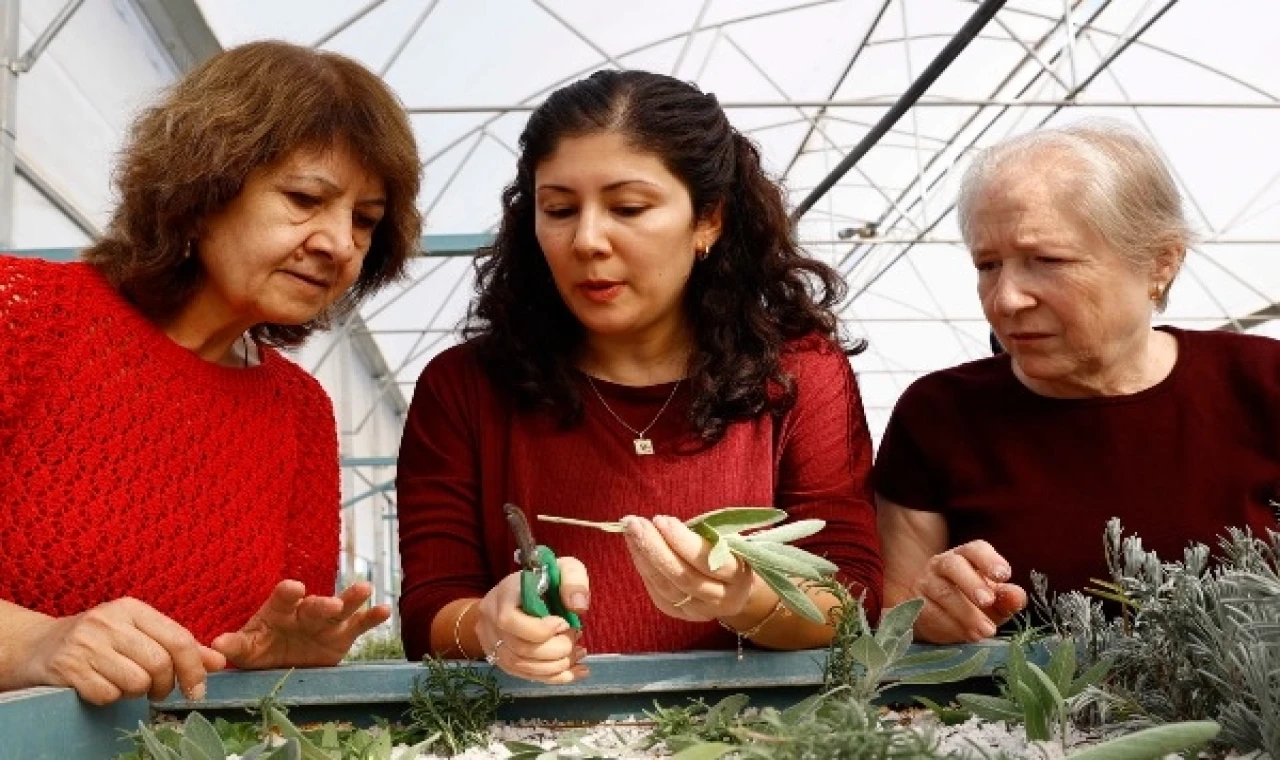 Antalya’da ’Tıbbi ve Aromatik Bitki Yetiştiriciliği’ kursu ilgi görüyor
