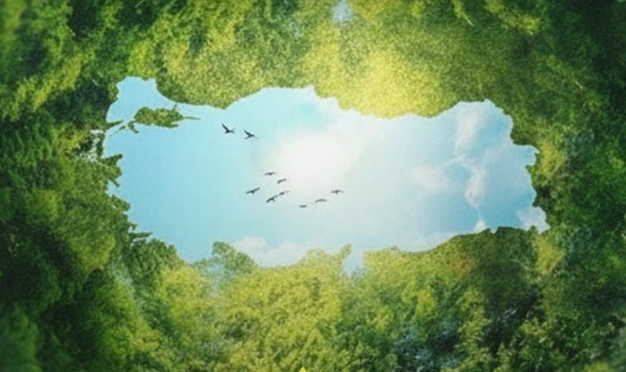 Burhanettin Duran’dan Çanakkale’de hatıra ormanı paylaşımı