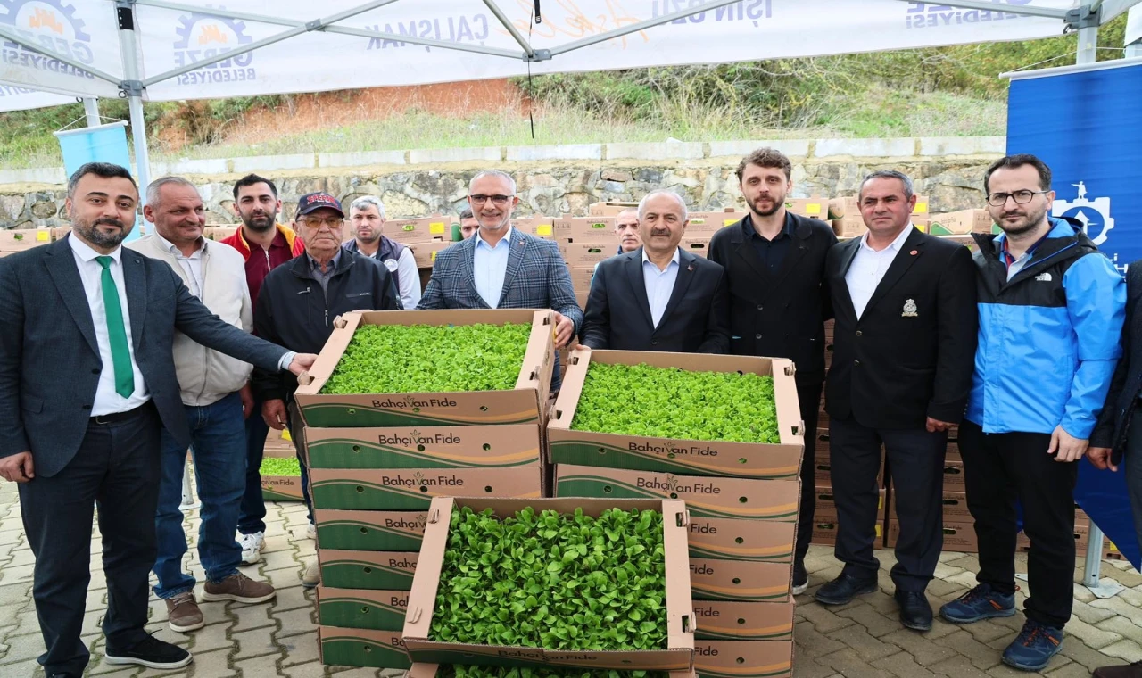 Gebze’de sebze fideler dağıtıldı