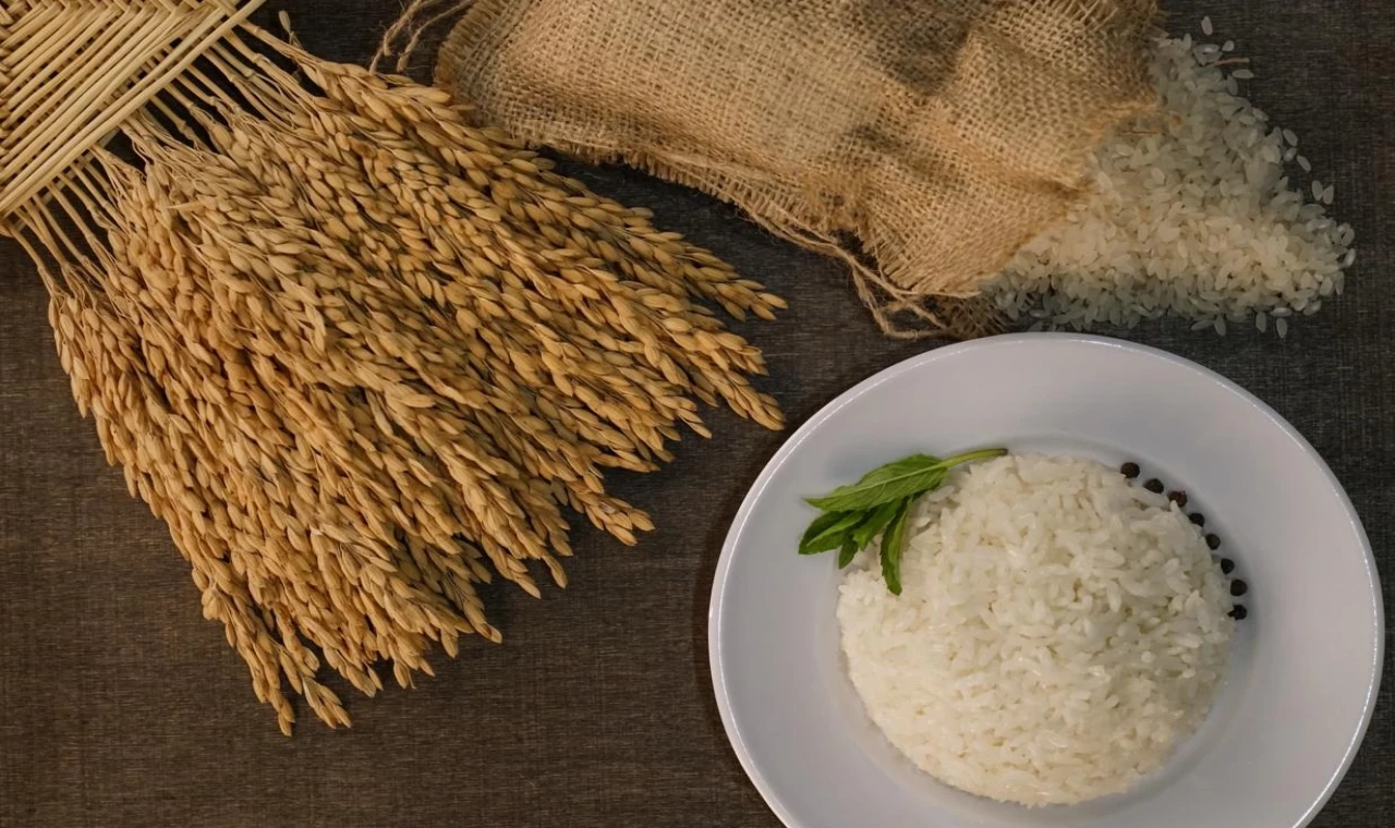 İpsala Pirinci’ne AB tescili... Trakya’nın ilk ve tek AB coğrafi işaretli ürünü