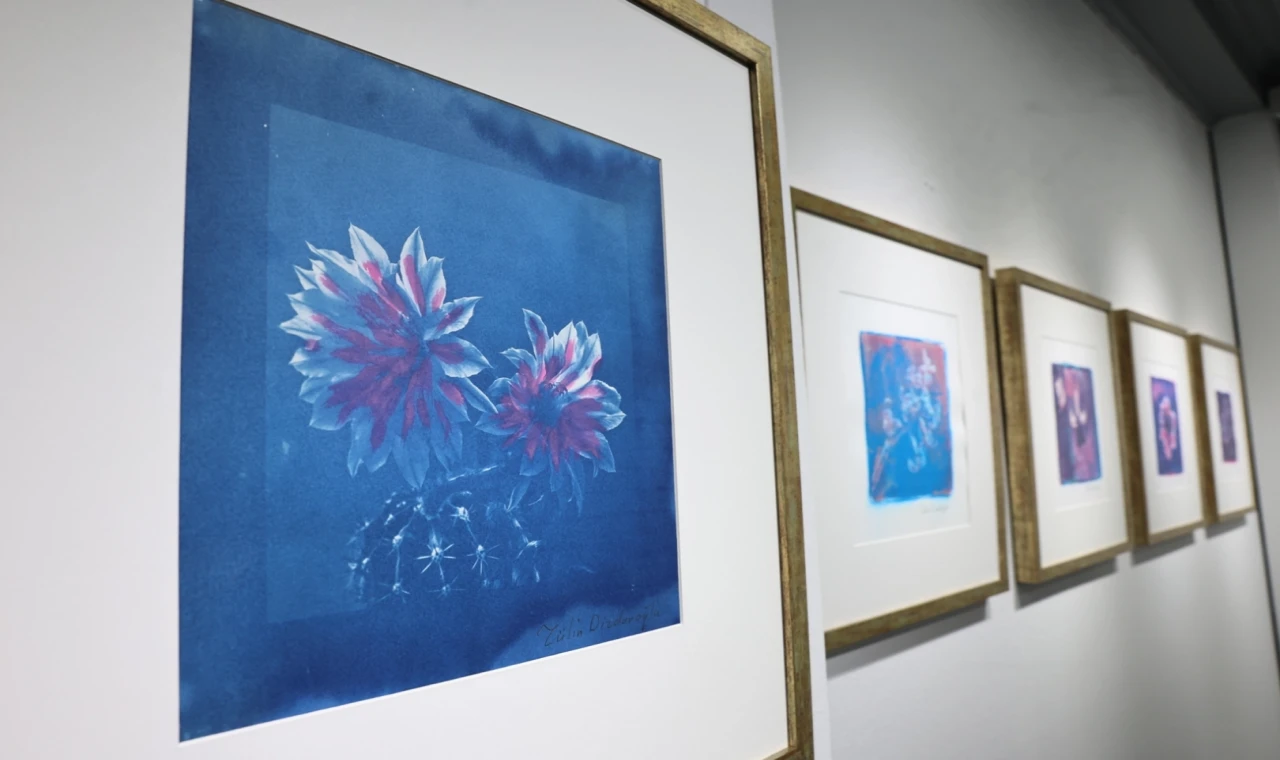 “Işığın İzi” sergisi Bursa Nilüfer’de