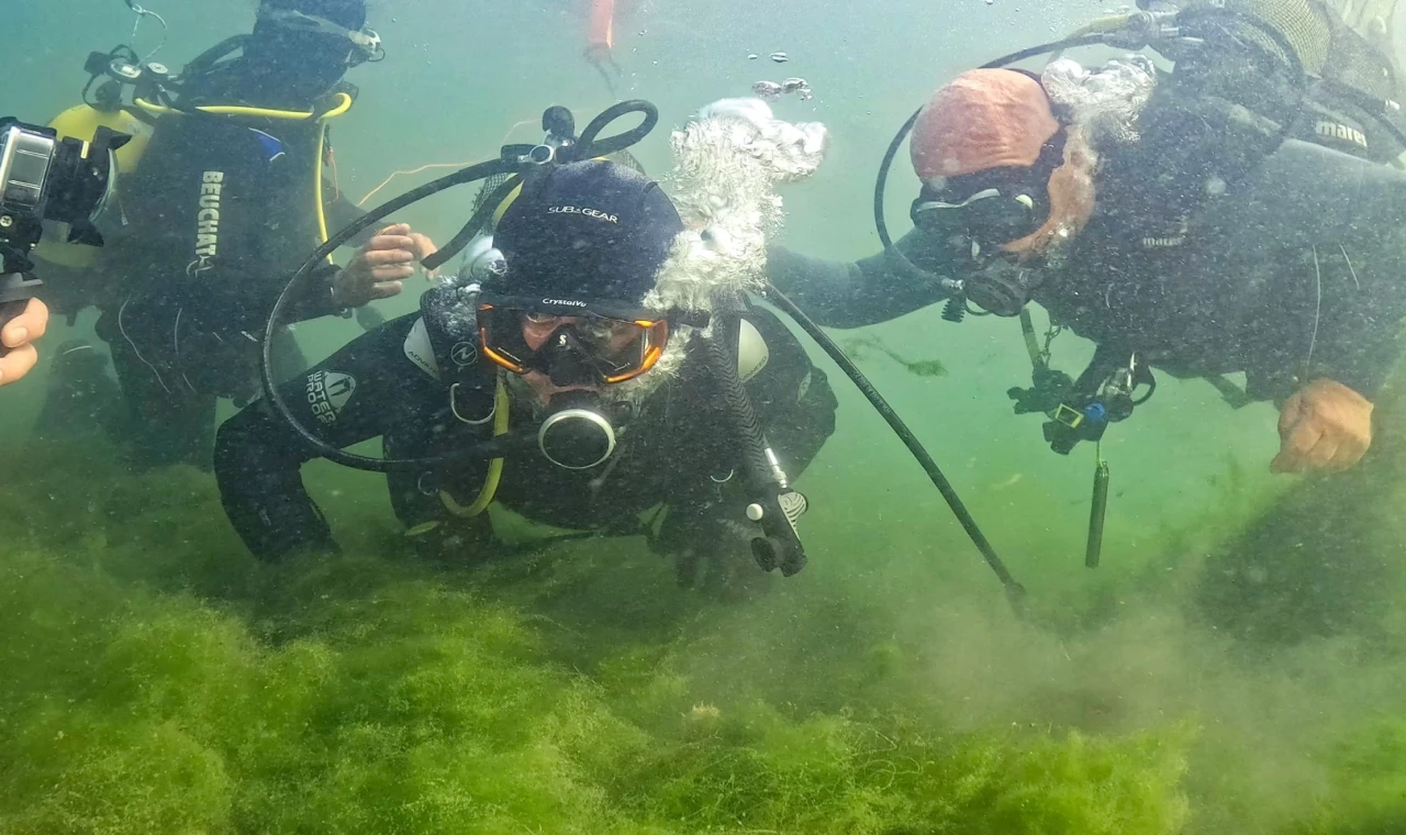 İzmit Körfezi’nde umut veren dalış... Başkan Büyükakın ve uzmanlar canlanan ekosisteme daldı