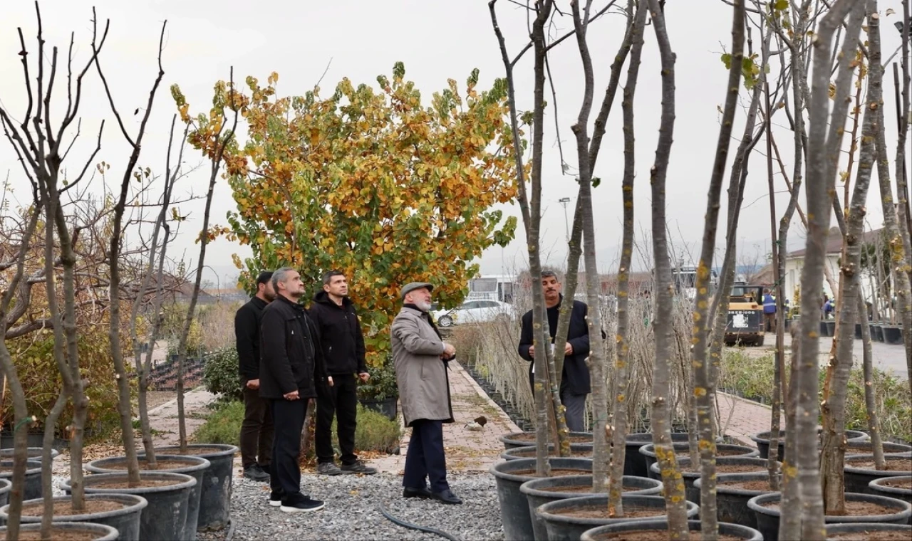 Kayseri Kocasinan şehri yeşile boyuyor